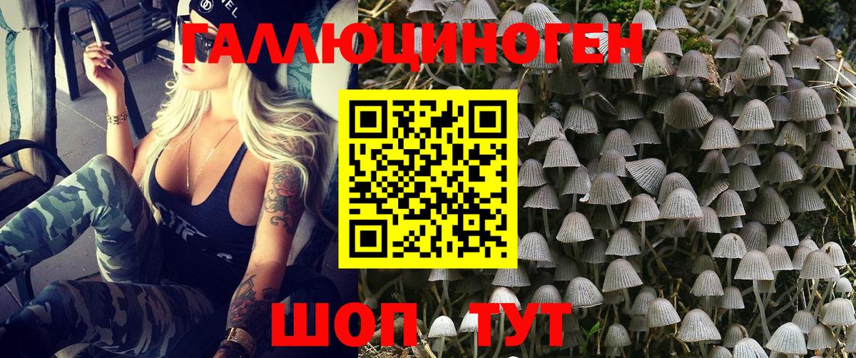 Псилоцибиновые грибы GOLDEN TEACHER  Вход с VPN  Галлюциногенные грибы мухоморы  Ангарск 